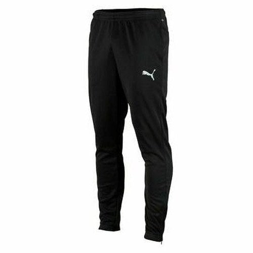 Puma teamRISE Poly Training Pants